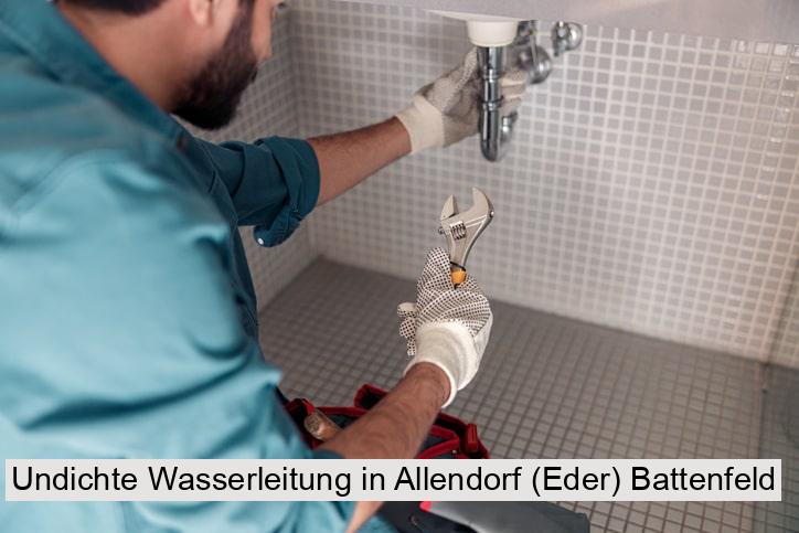 Undichte Wasserleitung in Allendorf (Eder) Battenfeld